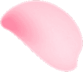 Makarronn Güzellik Salonu